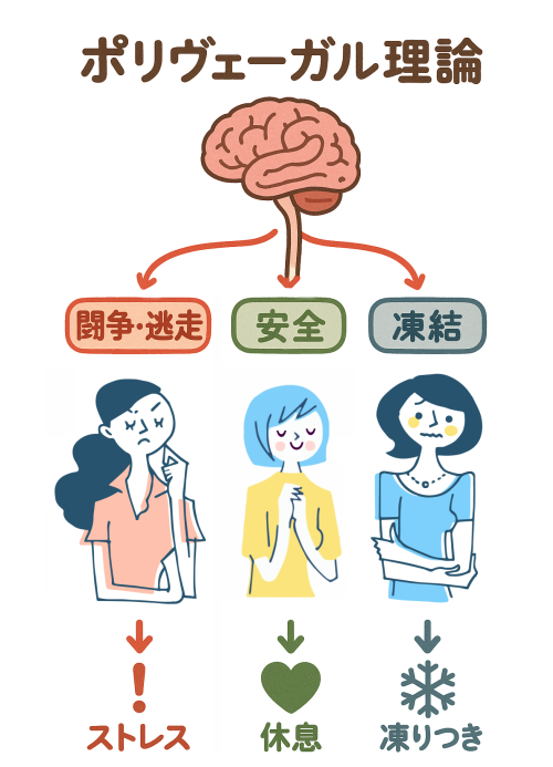 ポリヴェーガル理論